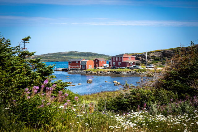 Beauty around Quirpon