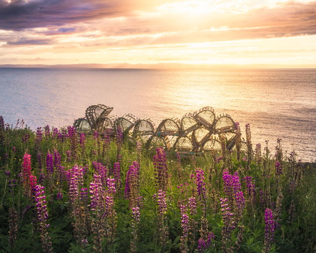 Lobster Pots at Sunset