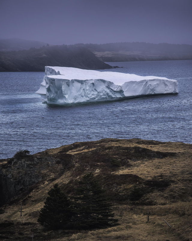Iceberg in the Bay