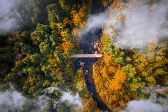 Fall Above the Clouds