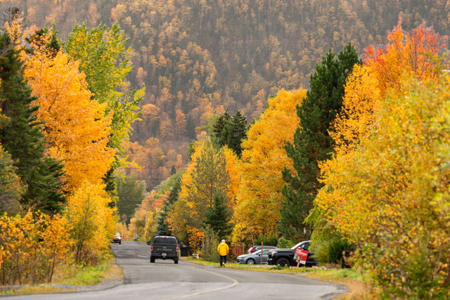 Stunning Autumn Colours Along a Scenic Mountain Road