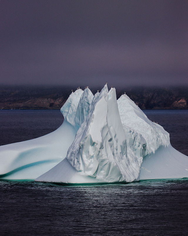 King's Cove Iceberg