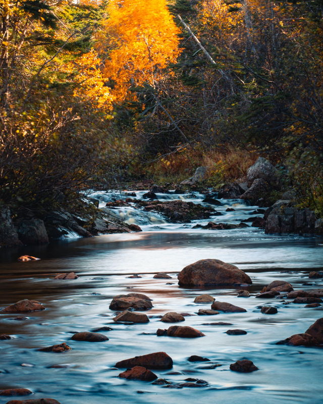 Piker Brook 2