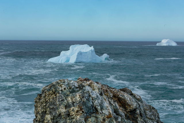 Icebergs North of Pouch Cove