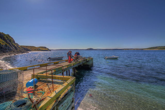 Cleaning Fish - English Harbour, NL