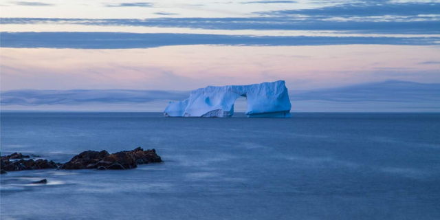Ice Arch - Cape Spear