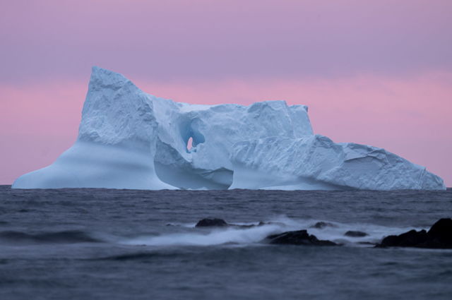 Ferryland Iceberg 2023