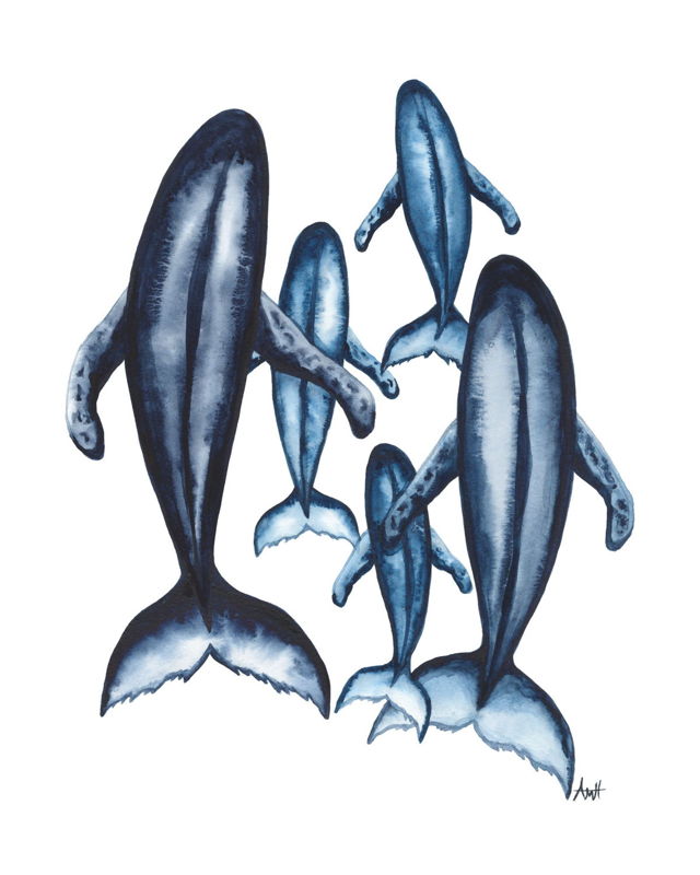 Pod of Five