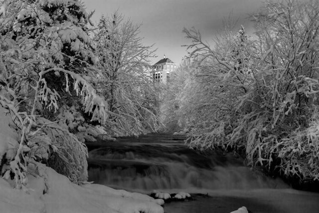 First Snow - St. John's