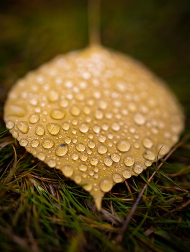 After The Rain