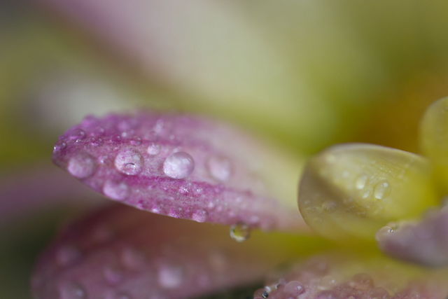 Crystal Drops 2
