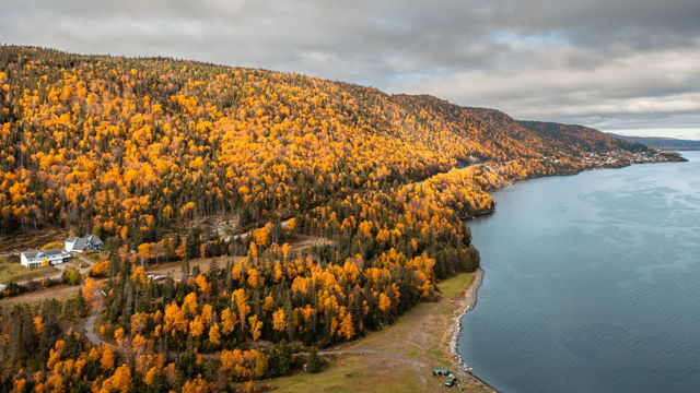 Golden Autumn Hills Overlooking a Serene Coastal Bay of Islands
