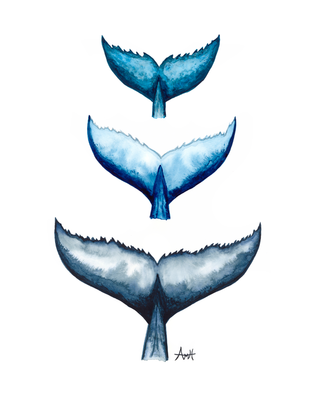 Whale Tail Trio