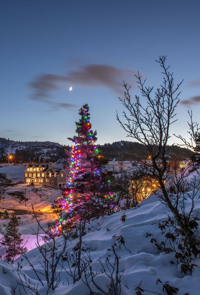Quidi Vidi Christmas 2018b