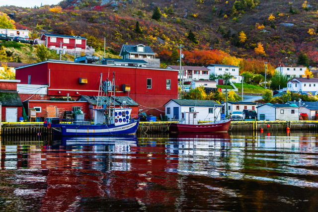 Boats Of Petty Harbour