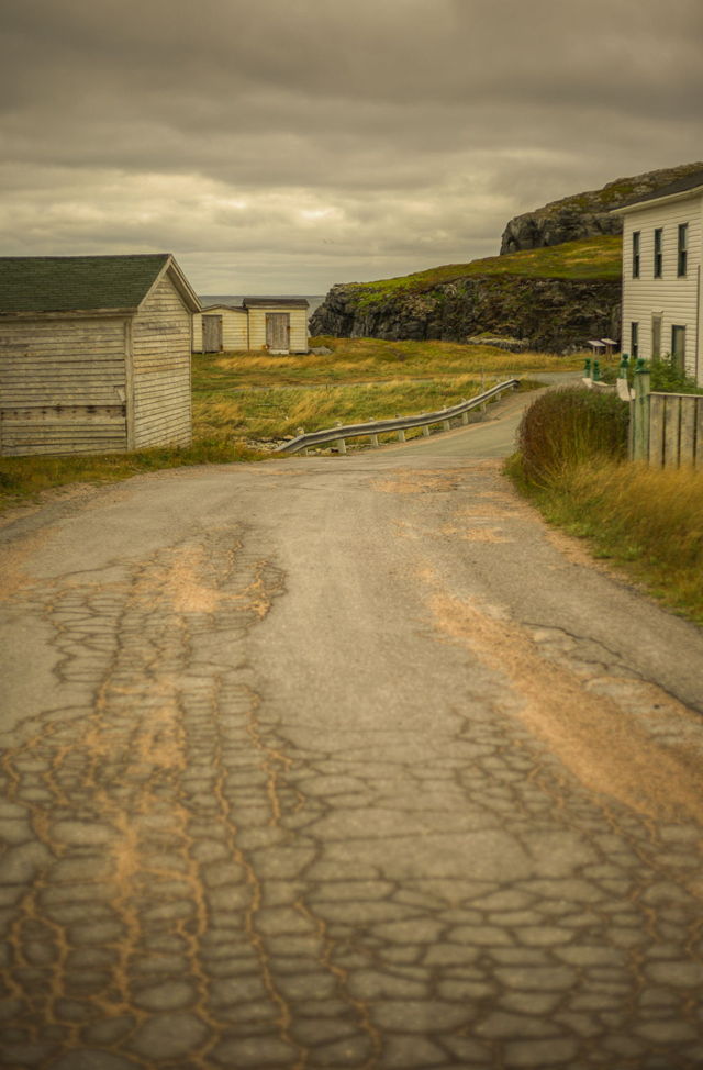An old Newfoundland road