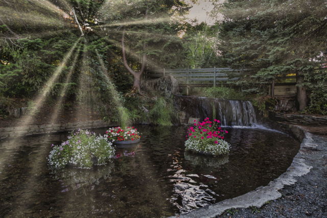 Bowring Park Resting Place
