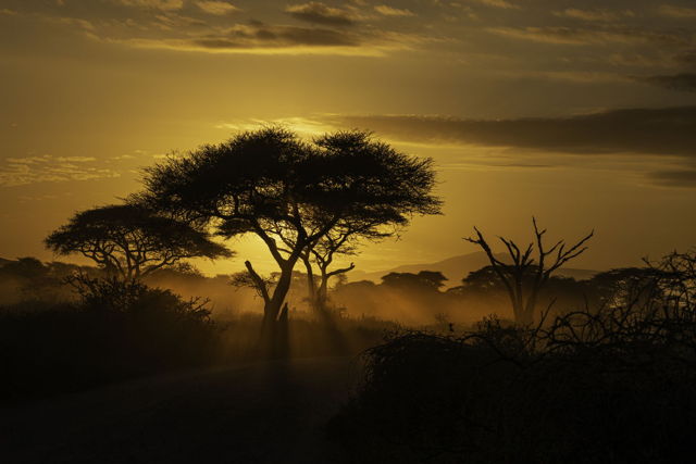Tanzania Sunrise