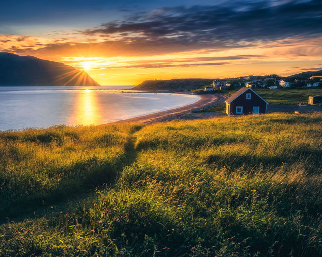 Summertime Dream Norris Point