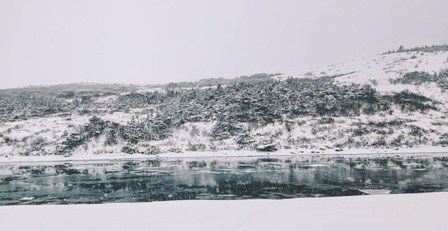 HORSEBROOK IN WINTER