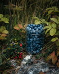 Berry Bountiful