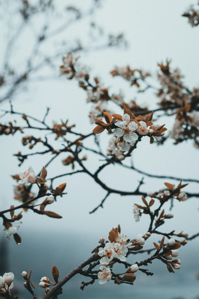 Turn of seasons