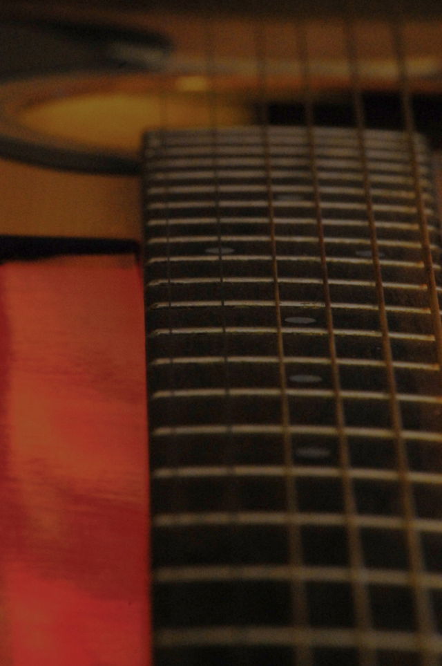 Guitar