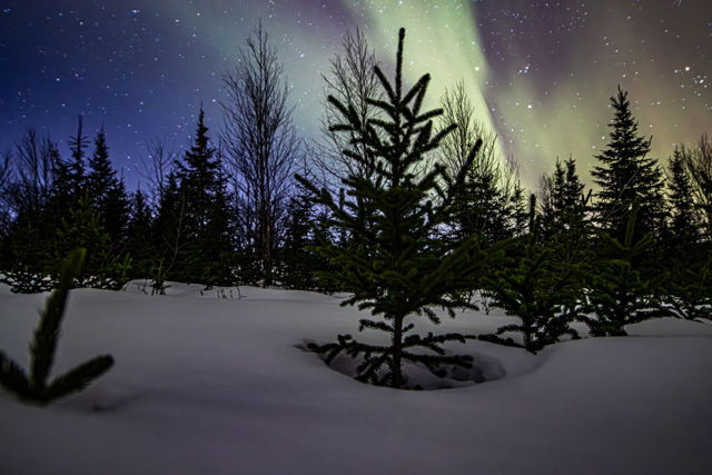 Ground Aurora