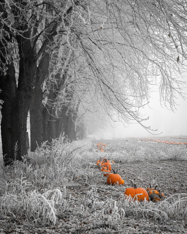 A Touch of Frost