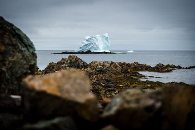 Iceberg of Twillingate