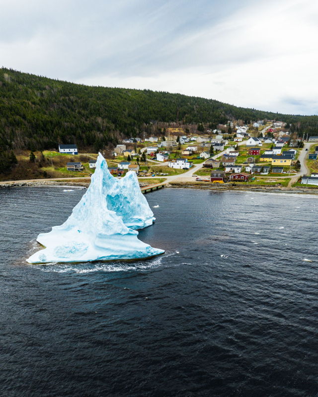Iceberg in Hampden