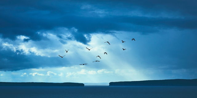 Return to the Island