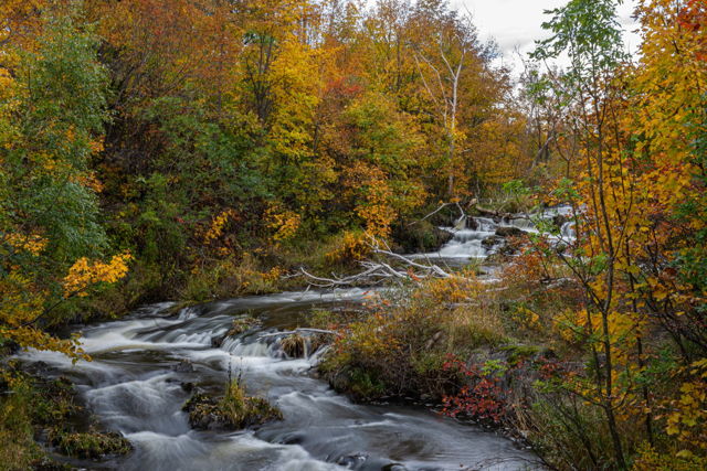 Fall Rivers