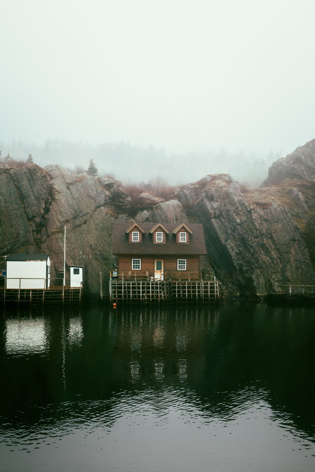 Winter Fog