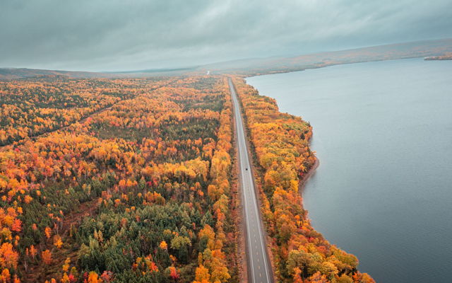 Autumns Golden Passage