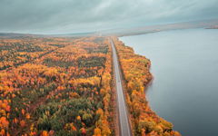 Autumns Golden Passage