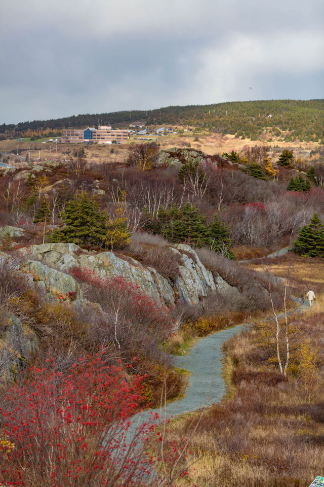 Autumn trail near geocenter