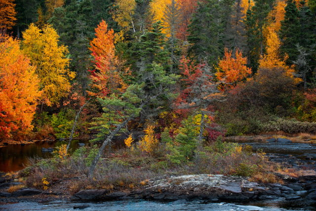 Bountiful Colours