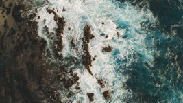 Maui Shores