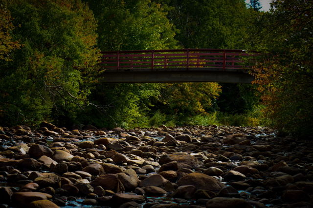 Beneath the bridge