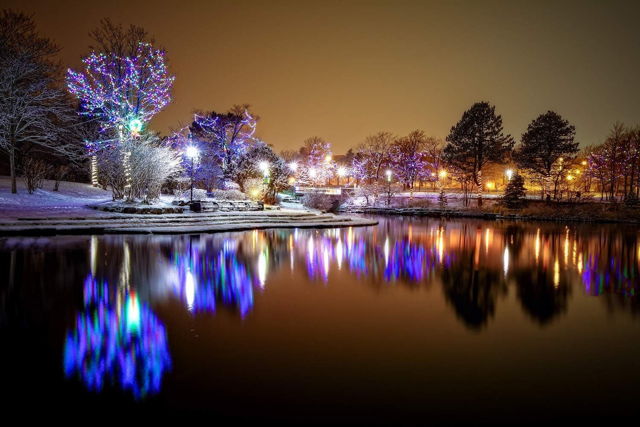 Bowring Park Winter Wonderland