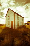 The Vintage Look III