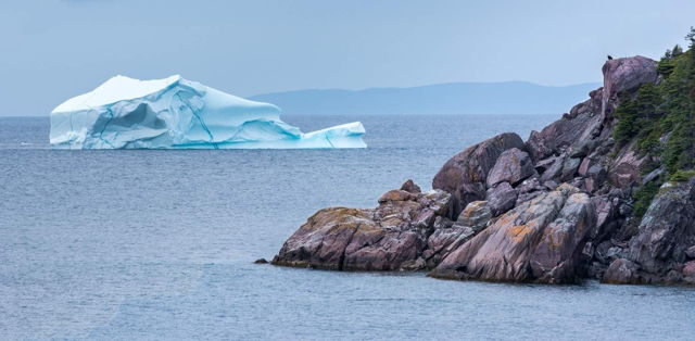 Eagle Watching Iceberg