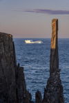 Iceberg at Spillars Cove