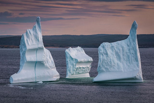 Amherst Cove Berg