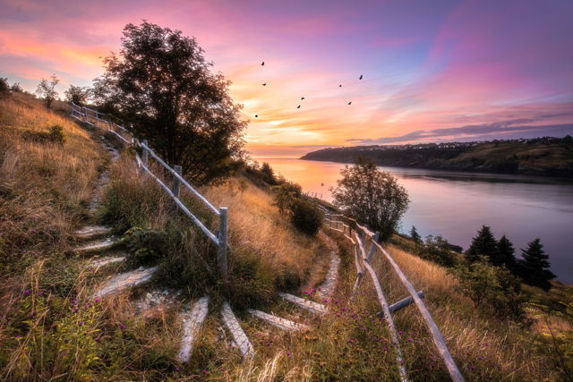The Steps of Father Troy