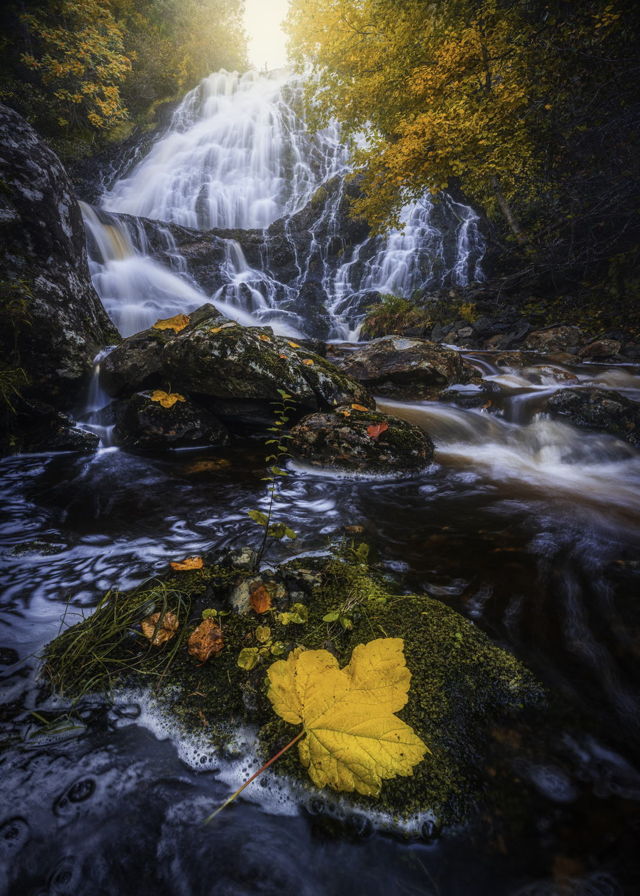 Autumn Waterfall Aquaforte