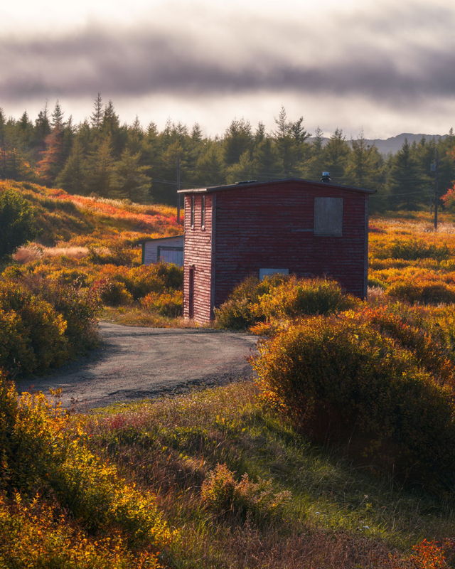 Fall Day at Duntara
