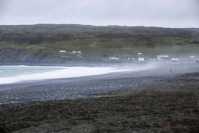 Whale watching at St Vincents
