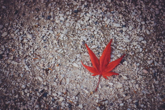 Crimson